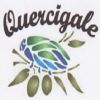 Logo of the association chorale Quercigale